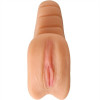Lisa Anns Pussy & Ass Sex Toy