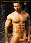Hairy Boyz 29 Porn Movie